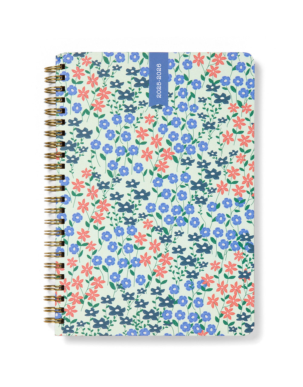 Letts Spring Valley A5 Week to View 18-Month Diary 2025-2026 - Multilanguage 26-031799 #colour_mint