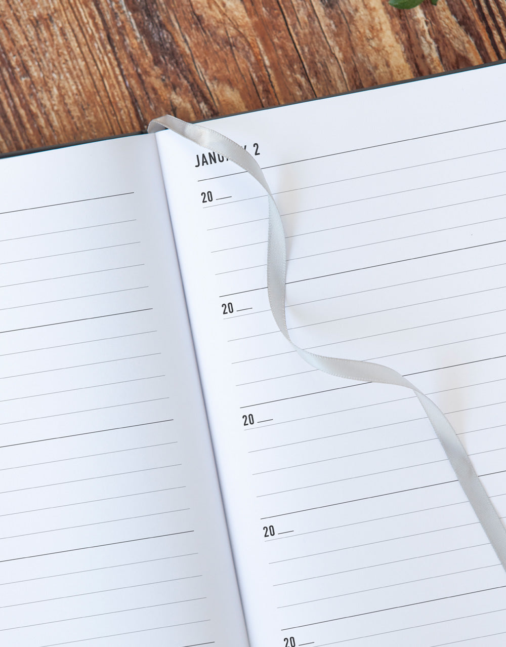 Conscious Evergreen A5 5 Year Journal 990363 - Letts of London#colour_slate