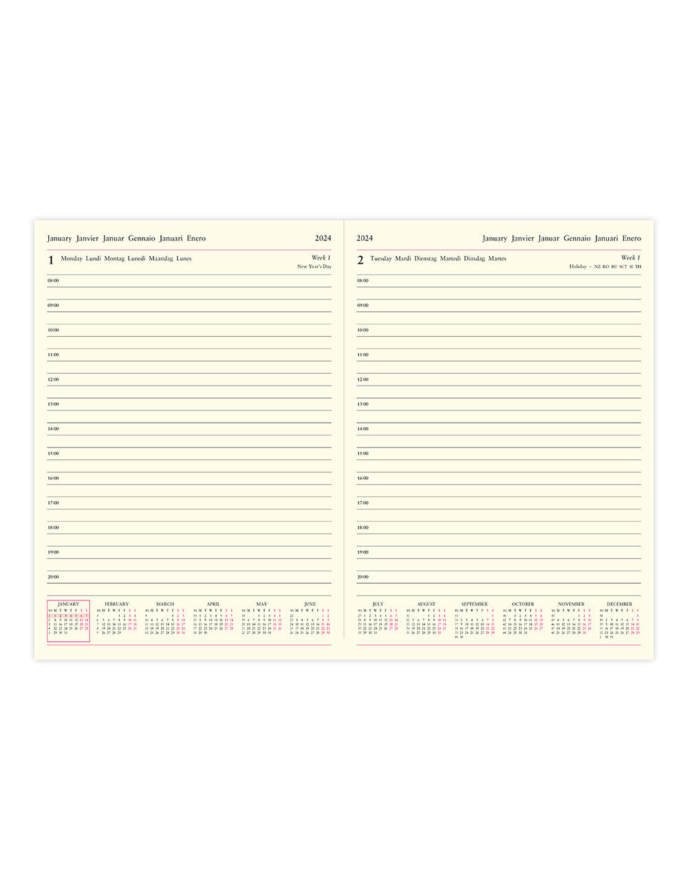 Lecassa A4 Day to a Page Diary with Appointments 2024 - Multilanguage#colour_brown