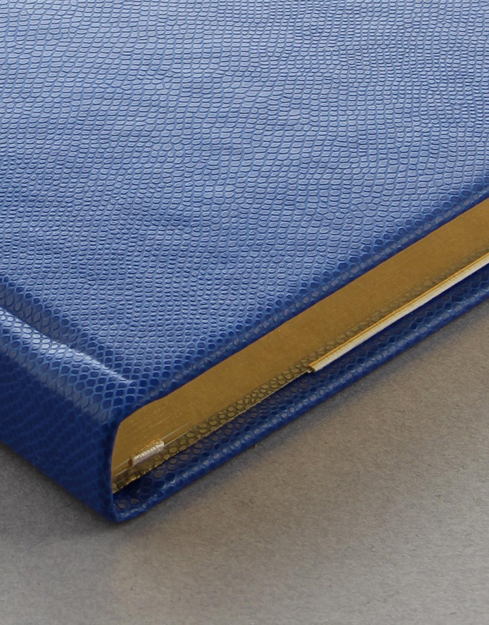Legacy Book Plain Notebook Blue#colour_blue