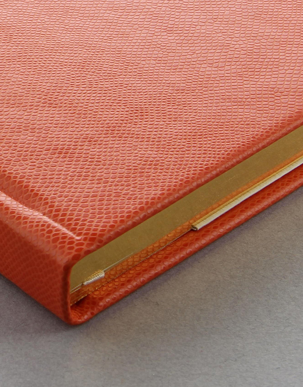 Legacy Book Plain Notebook Orange#colour_orange